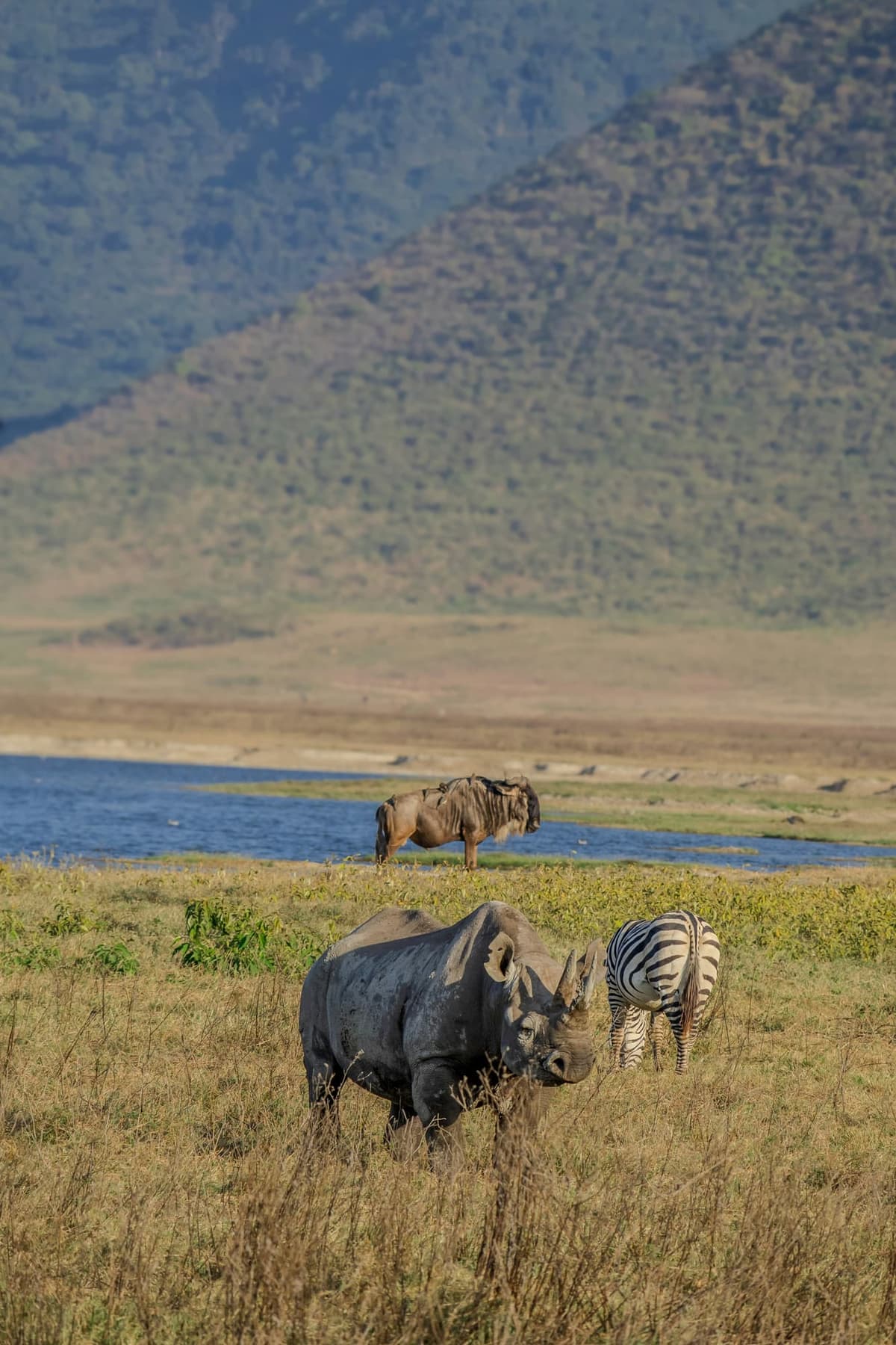 Akagera National Park