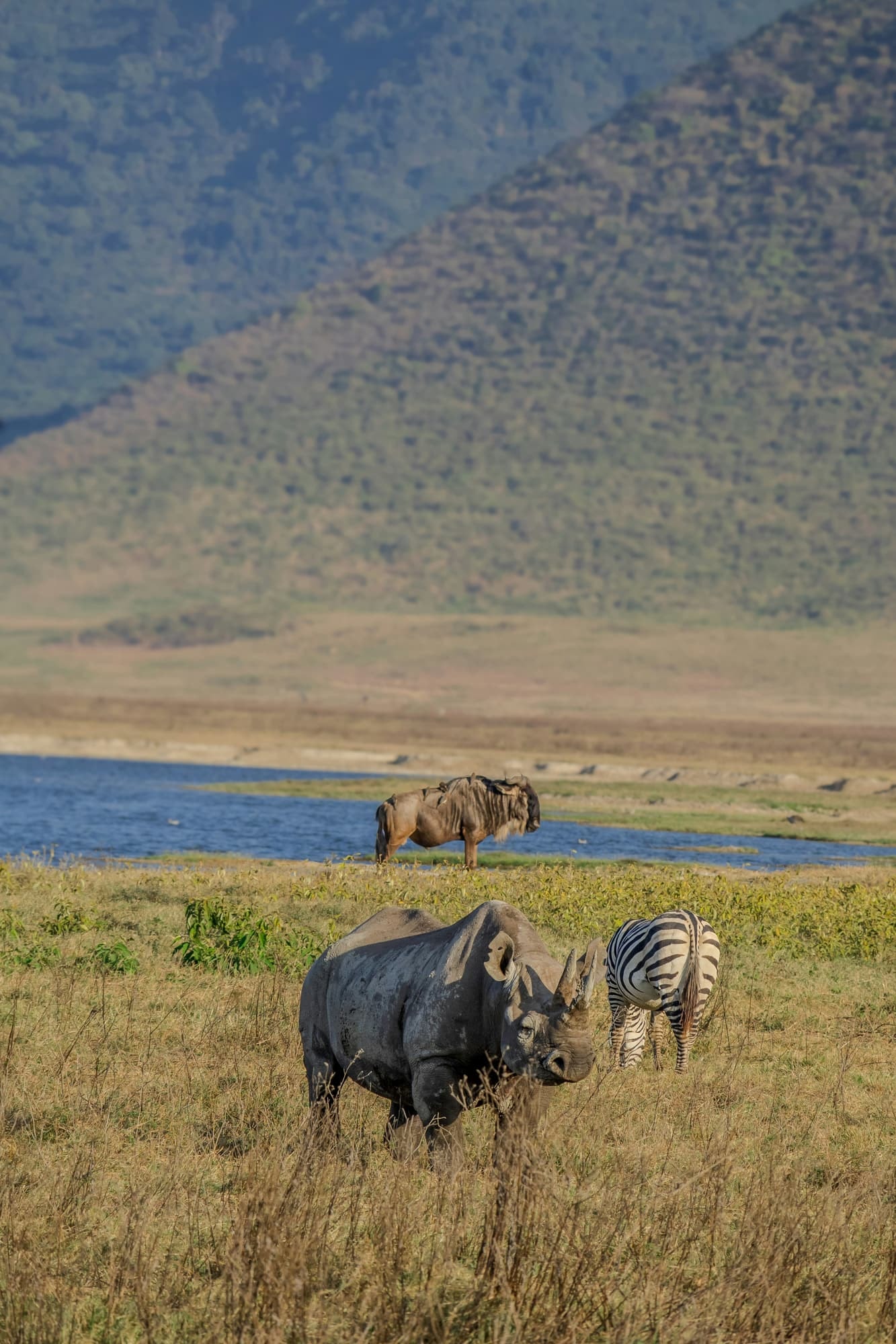 Akagera National Park