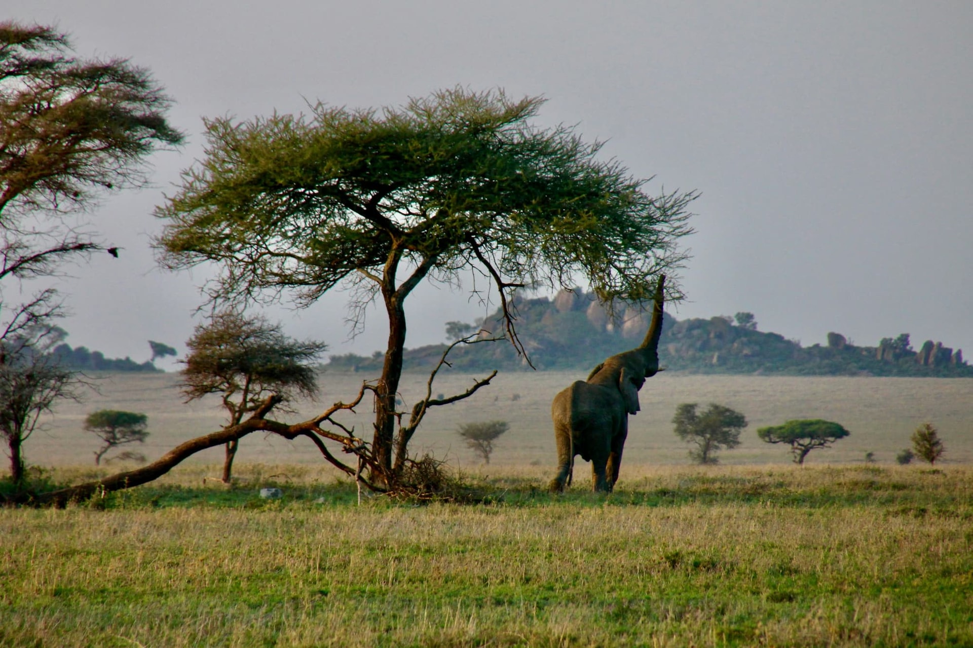 7-Day Best of Rwanda